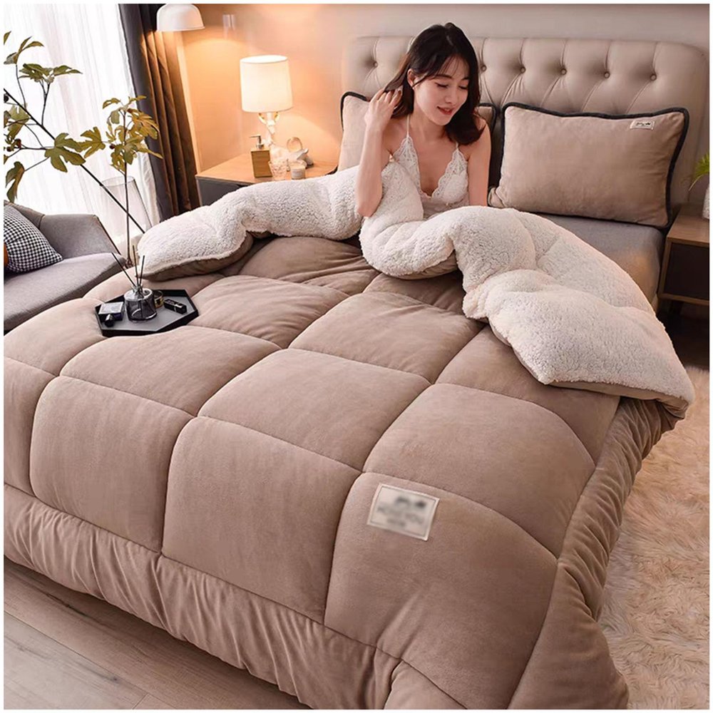 ZTGL Super Soft Warm Lamb Quilt 2-5 Kg Winter Double-Sided Velvet Blanket Fluffy Plush Quilt Thickened Warm Autumn Spring Plush Comforter Core Reversible,E,150x200cm(2kg)