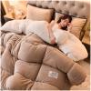 ZTGL Super Soft Warm Lamb Quilt 2-5 Kg Winter Double-Sided Velvet Blanket Fluffy Plush Quilt Thickened Warm Autumn Spring Plush Comforter Core Reversible,E,150x200cm(2kg) view 2