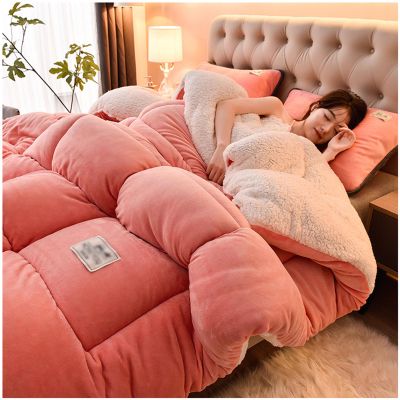 ZTGL Winter Cotton Duvet, Fluffy Plush Lamb Quilts, Winter Warm, Double-Sided Velvet Comforter Core, Super Soft Warm Plush Thickened Blanket Bedding for Cold Weather,E,150x200cm(3.5kg)