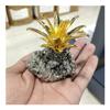 AAKOMA Natural Raw Pyrite Cluster Crystal Pineapple Crystal Cluster Stones Specimen Home Decoration Crafts Decoration Ornament Crafts view 2
