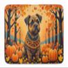 Caroline's Treasures Border Terrier Fall Memory Foam Kitchen Mat Machine Washable Anti-Fatigue Mat Cushion Comfort Bath Mat or Kitchen Rug view 1