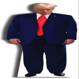 aahs! Engraving President Trump Mugshot Life Size Cardboard Stand Up, 6 feet