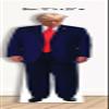 aahs! Engraving President Trump Mugshot Life Size Cardboard Stand Up, 6 feet view 2