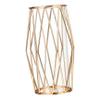 BESTOYARD 1pc Wrought Iron Transparent vase Modern Vase Planter Bulb Vase Flower Planter Tall Plant Terrarium Nordic vase Clear Bulbs Ornaments Iron Art Vase Flower Arrangement Glass Desktop view 1