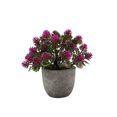 fenvy Mini Pulp Potted Plant Combination Table Knick-knacks Artificial Flowers Bonsai Plastic Flowers mini Fake Flowers MDS3001 - Red Lotus Pineapple Grass mini Pulp Potted Plant
