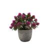 fenvy Mini Pulp Potted Plant Combination Table Knick-knacks Artificial Flowers Bonsai Plastic Flowers mini Fake Flowers MDS3001 - Red Lotus Pineapple Grass mini Pulp Potted Plant view 1
