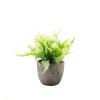 fenvy Mini Pulp Potted Plant Combination Table Knick-knacks Artificial Flowers Bonsai Plastic Flowers mini Fake Flowers MDS3061 - Spray White Rose Bud mini Pulp Pot view 1