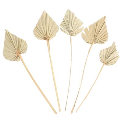 ABOOFAN 5pcs Palm Dried Palm Leaves Decor s for Sunday Leaf Branch Dried Leaves for Sunday Faux Plant s Dried Flowers Tropical Plants