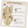 ABOOFAN 5pcs Palm Dried Palm Leaves Decor s for Sunday Leaf Branch Dried Leaves for Sunday Faux Plant s Dried Flowers Tropical Plants view 2