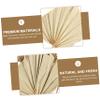 ABOOFAN 5pcs Palm Dried Palm Leaves Decor s for Sunday Leaf Branch Dried Leaves for Sunday Faux Plant s Dried Flowers Tropical Plants view 4