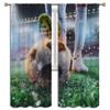 Football Blackout Curtains for Boy Girl Room Darkening Decor,Soccer Striker Ready to Kicks the Fiery Ball at the Stadium Bedroom Living Room Home Rod Pocket Thermal Insulated Window Drapes,84x63 Inch view 2