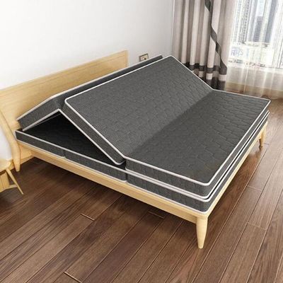 TEMKIN Tri-fold Mattress, Natural Coconut Palm Mattress, Easy to Clean Premium Bed Pads, Foldable, Portable or Storage, for Tatami or Camping (Color : Gris, Size : 120 * 190cm)