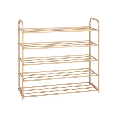 GRFIT Entryway Shoe Rack 5 Tier Shoe Rack Metal Storage Stand Shelf Organizer Space-Saving and Versatile Rack for Living Room Bedroom Kitchen Shoe Organizer (Size : 1)