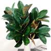 Olivachel Artificial Magnolias Branch Faux Rubber Tree Leaves Long Stem Real Touch for Home Indoor Outdoor Decor (Dark Green, Pack of 4pcs) view 1