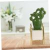 3 pcs Artificial Cactus Crystal Potted Succulents Artificial Simulation Plants Decorations Mini pots Hawaiian Decor Green vases Ceramic Cactus Potted Ceramics Bonsai Adornment car/1598 view 3