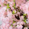 ESRADA Artificial Cherry Blossom Trees Indoor Outdoor Artificial Cherry Blossom Flowers Simulated Artificial Cherry Blossom Tree,for Party Restaurant Mall Pink-1.2mx1m view 3