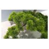 Artificial Trees Simulated Inverted Artificial Pine Green Plant Landscape Indoor Courtyard Window Pine Tree Top of Wall Decoration Artificial Bonsai (Size : 120x100cm) view 3