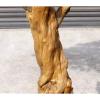 Artificial Trees Simulated Inverted Artificial Pine Green Plant Landscape Indoor Courtyard Window Pine Tree Top of Wall Decoration Artificial Bonsai (Size : 120x100cm) view 4