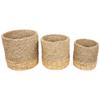 Set of 3 Textured Woven Round Seagrass Baskets 13.75" view 1