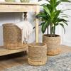 Set of 3 Textured Woven Round Seagrass Baskets 13.75" view 2