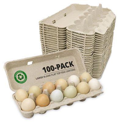 Stromberg's Large Blank Flat Top Chicken Egg Cartons, 100 Pack