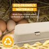 Stromberg's Large Blank Flat Top Chicken Egg Cartons, 100 Pack view 3