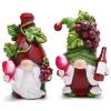 Hodao Red Wine Gnomes Decorations for Home, Home Party Resin Figurines Collectible, Handcrafted Gifts for Wine Enthusiasts, Indoor Outdoor Decor for Dining Tables Kitchen Bar Tabletop Decor view 1