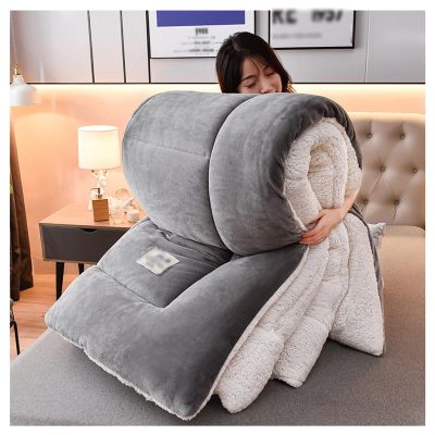 FDISDIFH Double-Sided Velvet Winter Quilt, Super Warm Lamb Quilt Winter Blanket, Breathable Warm Bed Comforter, Luxury Milk Velvet Thick Bed Blanket,C,200 * 230cm/79 * 90in(3kg)