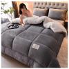 FDISDIFH Double-Sided Velvet Winter Quilt, Super Warm Lamb Quilt Winter Blanket, Breathable Warm Bed Comforter, Luxury Milk Velvet Thick Bed Blanket,C,200 * 230cm/79 * 90in(3kg) view 2