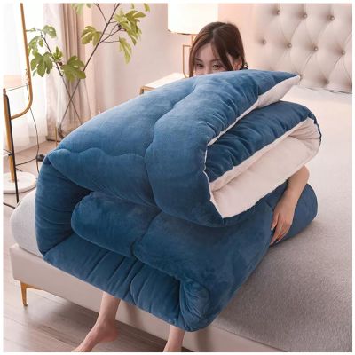 ZTGL Fluffy Plush Lamb Quilts, Autumn and Winter Thick Warm Luxury Flannel Duvet, Double-Sided Velvet Soft Comforter Core, Thickened Blanket Bedding,Blue,180x220cm(3.0kg)