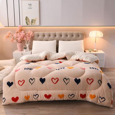 HUHJYUGE Winter Cotton Duvet, Thick Lamb Velvet Fabric Winter Quilt, Super Warm Lamb Quilt Winter Blanket, Double-Sided Velvet Winter Quilt, Single Double Duve (150x200cm(2kg))