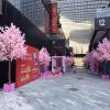 Artificial Cherry Blossom Tree - Stunning Peach Blossom Wishing Tree for Hotels, Shopping Malls, Weddings - Exquisite Decoration view 2
