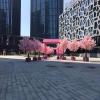 Artificial Cherry Blossom Tree - Stunning Peach Blossom Wishing Tree for Hotels, Shopping Malls, Weddings - Exquisite Decoration view 3