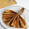 10 pcs 20-Inch Antique Gold Satin Table Napkins Reusable Washable Wedding Party Dinner Linens Tableware Supplies view 3