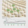 GEHPYYDS 100% Natural Latex Mattress, Soft Body Massage Mattress, 5cm-200x220cm(79x86in), Medium Firm view 2
