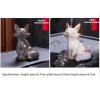 Ceramic Tea Set Ceramic Fox Color Changing Tea Pet Ornaments Creative Home Tea Play Desktop Ornaments Tea Ceremony Accessories Kung Fu Tea Set view 2