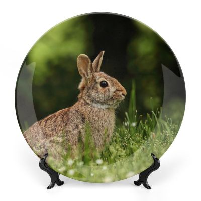 Bunny Rabbit on Grass Decorative Plate, Ceramic Wall Decor Plate, Decorative Plate W/Stand, Home Decoration Round Display Plate, Porcelain Ornament Wall Art, Housewarming Gift, 7"