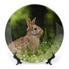 Bunny Rabbit on Grass Decorative Plate, Ceramic Wall Decor Plate, Decorative Plate W/Stand, Home Decoration Round Display Plate, Porcelain Ornament Wall Art, Housewarming Gift, 7" view 1