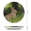 Bunny Rabbit on Grass Decorative Plate, Ceramic Wall Decor Plate, Decorative Plate W/Stand, Home Decoration Round Display Plate, Porcelain Ornament Wall Art, Housewarming Gift, 7" view 2