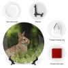 Bunny Rabbit on Grass Decorative Plate, Ceramic Wall Decor Plate, Decorative Plate W/Stand, Home Decoration Round Display Plate, Porcelain Ornament Wall Art, Housewarming Gift, 7" view 3