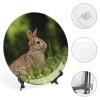 Bunny Rabbit on Grass Decorative Plate, Ceramic Wall Decor Plate, Decorative Plate W/Stand, Home Decoration Round Display Plate, Porcelain Ornament Wall Art, Housewarming Gift, 7" view 4