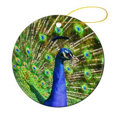 2023 Christmas Ornaments for Tree, Peacock Bird Feather Ceramic Ornament, Tags, Christmas Bauble Decorations, Porcelain Xmas Keepsake, Funny Holiday Stocking Stuffer, 3"