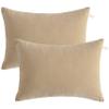 BEDSUM 2 Pack Pillows, 13"x18" Microfiber Pillows for Travel, Pets, Soft and Machine Washable Small Pillow for Neck, Wrist, and Knee Comfort, Taupe view 1