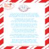 ZIMPLI - Elf on The Shelf SnoPlay, Magically Turns Water into Artificial Fake Instant Snow, Kids Indoor & Outdoor Toy, Xmas Present, Stocking Filler Gift view 3