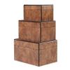 Alice Lane Burled Wood Box  Bold Design  Black Sleek Interior  Stow Luxury Accessories  Living Room, Kitchen, Walk-In Closet, Cocktail Table (Large) view 3