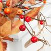 Artificial Fall Berry Garland by Factory Direct Craft - Thanksgiving and Fall Foliage Garland for Autumn Decorating and Displays (Size: 60 inches) view 4