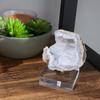 OnFireGuy 3-1/2 inch Adjustable Metal Display Stand Easel with Acrylic Base for Geodes Fossils Minerals Crystal view 2