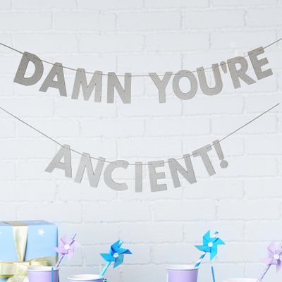 Funny Birthday Banner, You're Old Sign, Silver Party Decoration, Photo Booth Props, 100th 90th 80th 70th 60th 50th 40th 30th