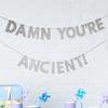 Funny Birthday Banner, You're Old Sign, Silver Party Decoration, Photo Booth Props, 100th 90th 80th 70th 60th 50th 40th 30th view 1