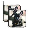 8 x 8in Adorable French Bulldog Print Hot Pads Sets, Non Slip Heat Resistant Pot Holder, for Baking Cooking Kitchen view 1